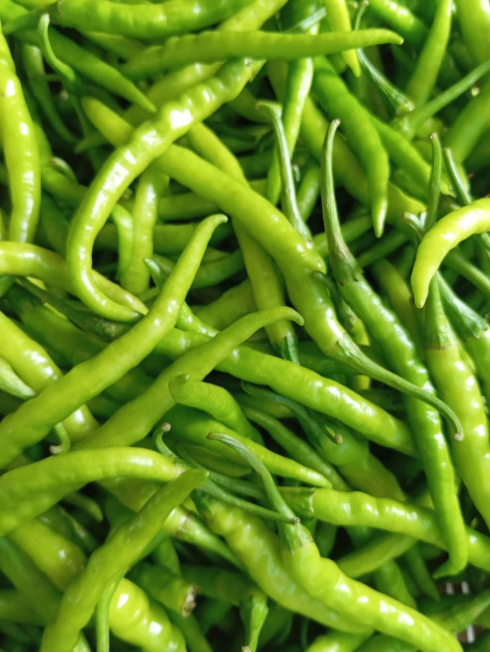 Premium Green Chillies